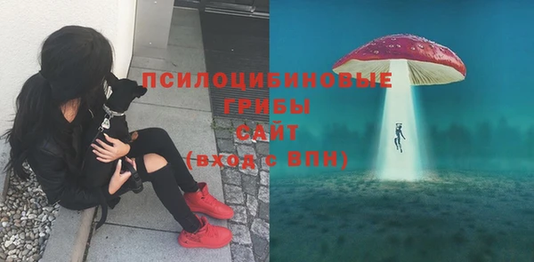гашиш Арсеньев