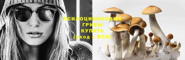 гашиш Арсеньев