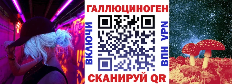 Псилоцибиновые грибы Psilocybe  Белореченск 