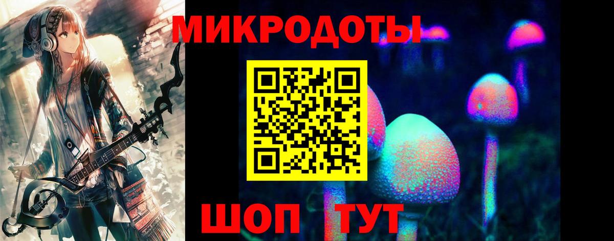 Белореченск  Псилоцибиновые грибы Psilocybine cubensis  Вход с VPN 
